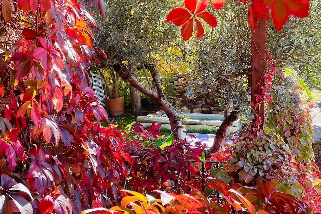 Retiro En La Alpujarra Villa Bubion