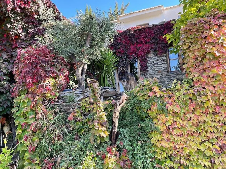 Retiro En La Alpujarra Villa Bubion Holiday home