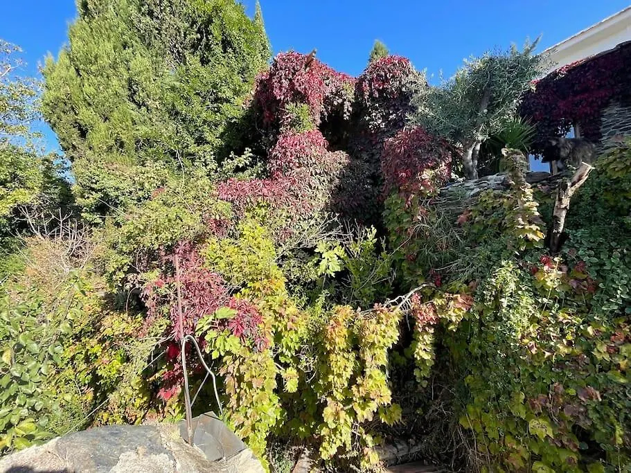Holiday home Retiro En La Alpujarra Villa Bubion