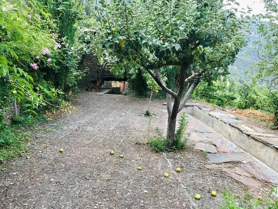 Retiro En La Alpujarra Villa Bubion