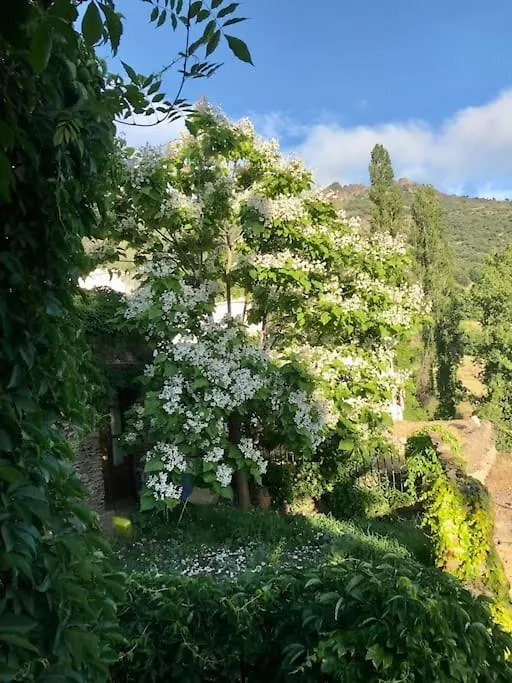 Retiro En La Alpujarra Villa Bubion 0*,
